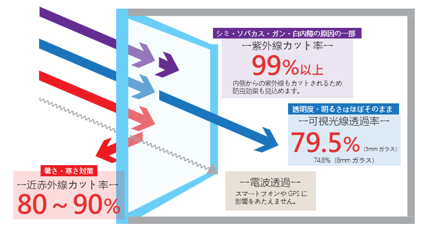 窓ガラスコーティング作業中の様子